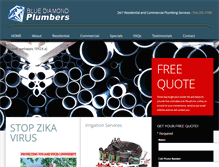 Tablet Screenshot of bluediamondplumbers.net